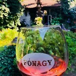 Frühstückspension Fonagy Es Walter Vendeg- Es Borhaz Vác
