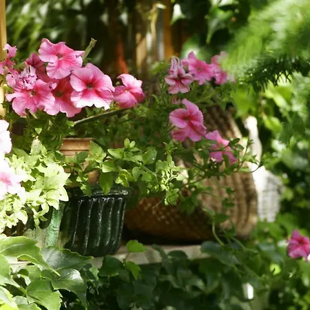 Bed and Breakfast Fonagy Es Walter Vendeg- Es Borhaz