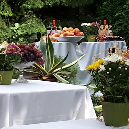Fonagy Es Walter Vendeg- Es Borhaz Bed and Breakfast