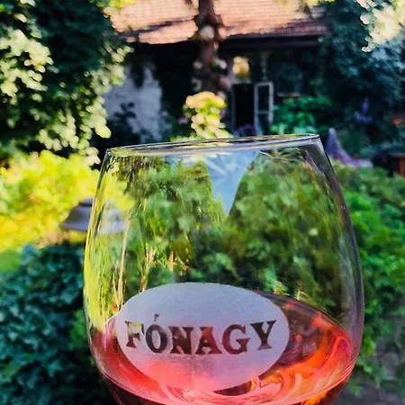 Bed & Breakfast Fonagy Es Walter Vendeg- Es Borhaz Vac