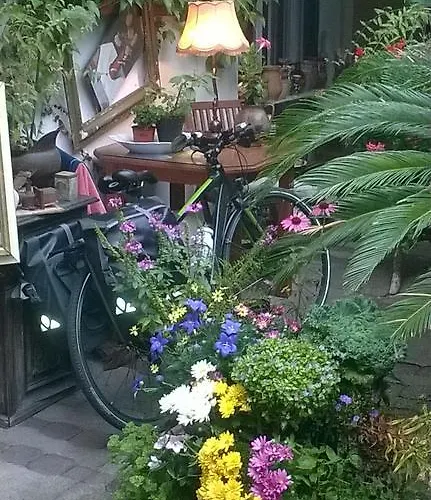 Fónagy és Walter Vendég- és Borház Couette-café